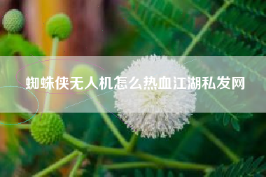 蜘蛛侠无人机怎么热血江湖私发网