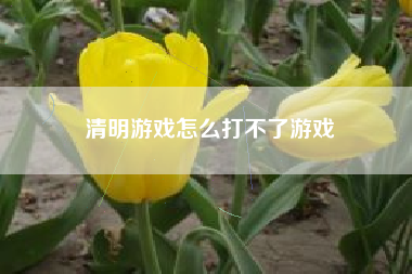 清明游戏怎么打不了游戏
