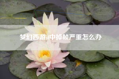 梦幻西游sf中掉帧严重怎么办