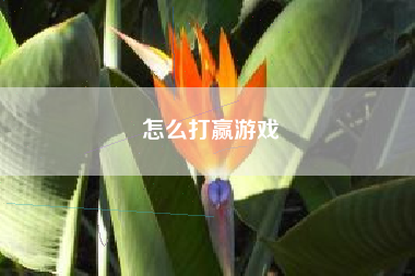 怎么打赢游戏