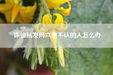 诛仙私发网六亲不认的人怎么办