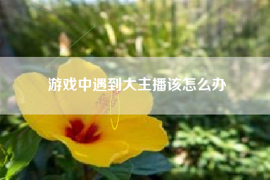 游戏中遇到大主播该怎么办