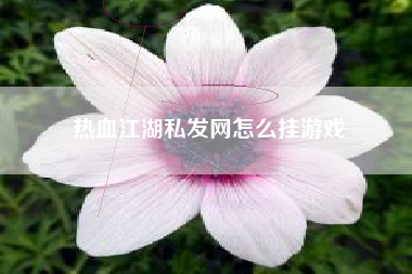 热血江湖私发网怎么挂游戏