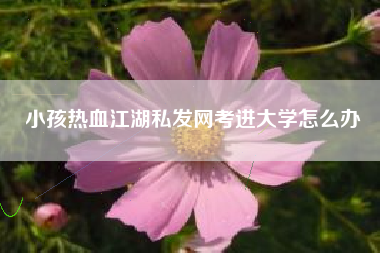 小孩热血江湖私发网考进大学怎么办