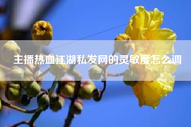 主播热血江湖私发网的灵敏度怎么调