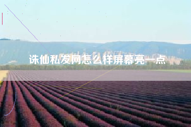 诛仙私发网怎么样屏幕亮一点