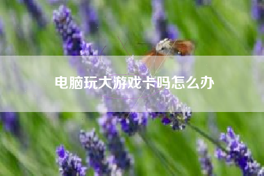 电脑玩大游戏卡吗怎么办