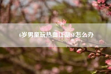 6岁男童玩热血江湖SF怎么办
