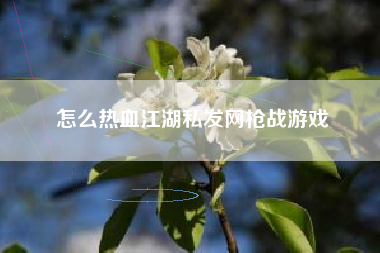 怎么热血江湖私发网枪战游戏