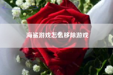 海鲨游戏怎么移除游戏
