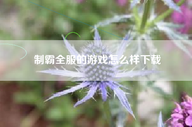制霸全服的游戏怎么样下载