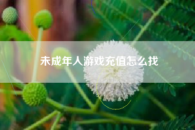 未成年人游戏充值怎么找