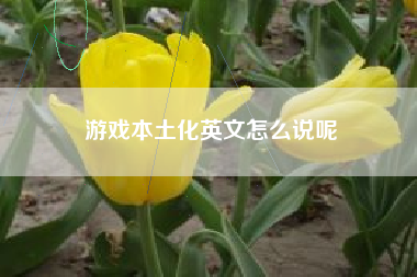 游戏本土化英文怎么说呢