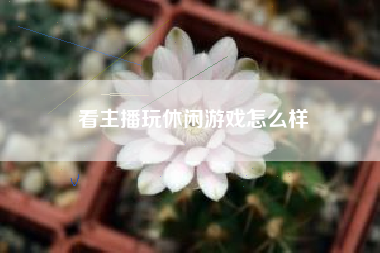 看主播玩休闲游戏怎么样