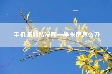 手机诛仙私发网一半卡屏怎么办