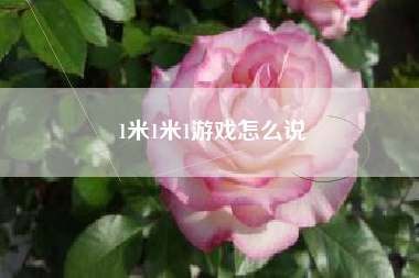 1米1米1游戏怎么说