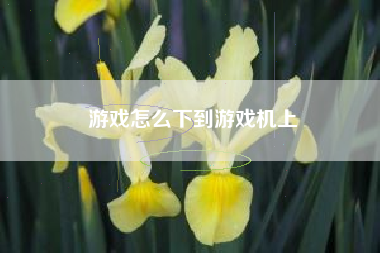 游戏怎么下到游戏机上
