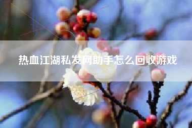热血江湖私发网助手怎么回收游戏