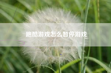 跑酷游戏怎么暂停游戏