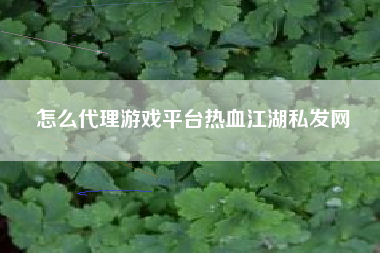 怎么代理游戏平台热血江湖私发网