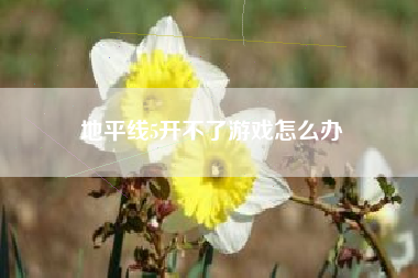 地平线5开不了游戏怎么办