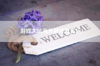 游戏大坑海外游戏怎么玩