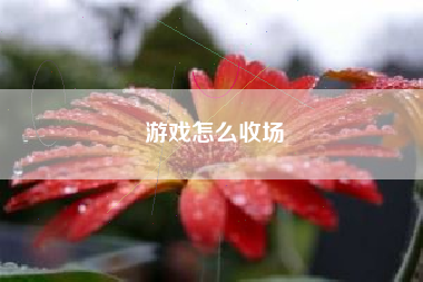 游戏怎么收场