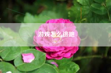 游戏怎么逃跑