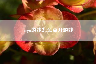 csgo游戏怎么离开游戏