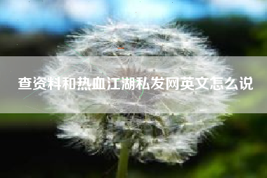 查资料和热血江湖私发网英文怎么说  第1张