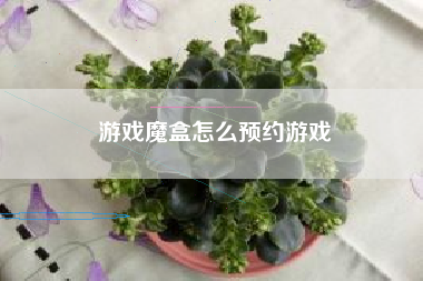 游戏魔盒怎么预约游戏