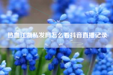 热血江湖私发网怎么看抖音直播记录