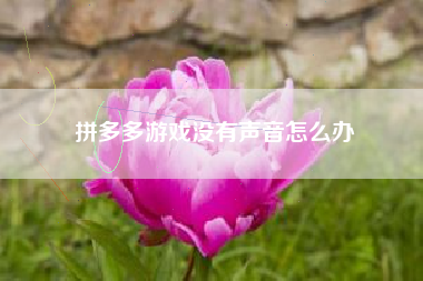 拼多多游戏没有声音怎么办