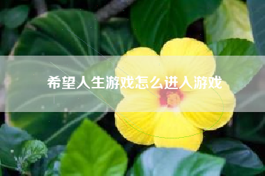 希望人生游戏怎么进入游戏