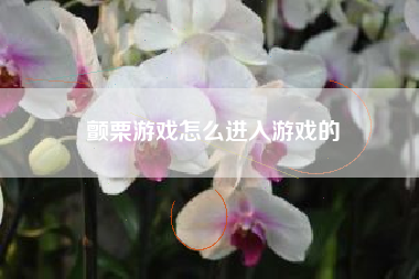颤栗游戏怎么进入游戏的