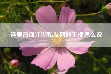 连麦热血江湖私发网的主播怎么说