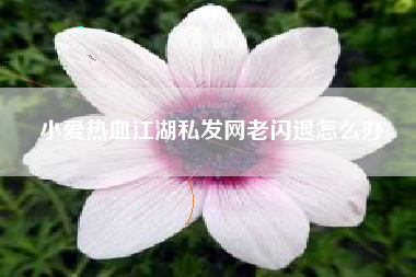 小爱热血江湖私发网老闪退怎么办