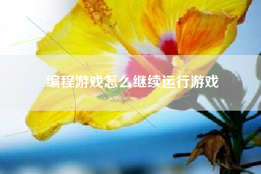 编程游戏怎么继续运行游戏