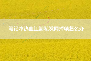 笔记本热血江湖私发网掉帧怎么办