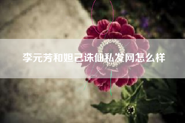 李元芳和妲己诛仙私发网怎么样