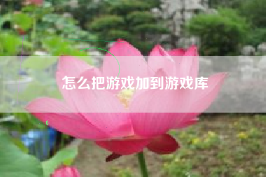 怎么把游戏加到游戏库