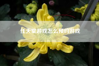 任天堂游戏怎么预约游戏