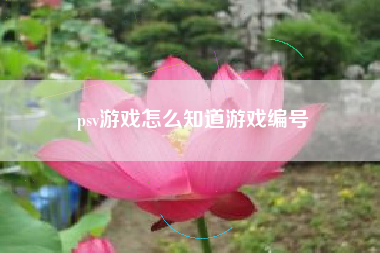psv游戏怎么知道游戏编号