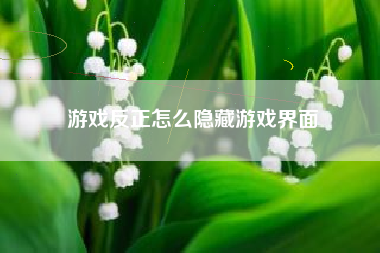 游戏反正怎么隐藏游戏界面