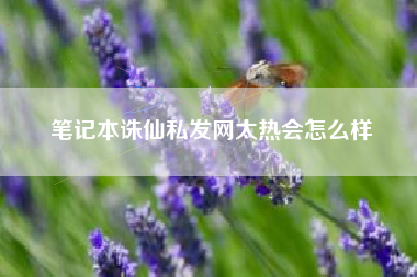 笔记本诛仙私发网太热会怎么样