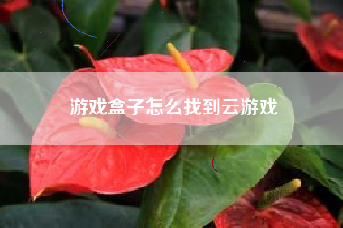 游戏盒子怎么找到云游戏