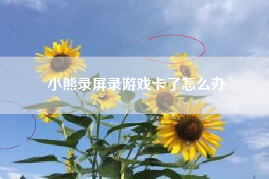 小熊录屏录游戏卡了怎么办