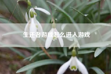 生还者游戏怎么进入游戏