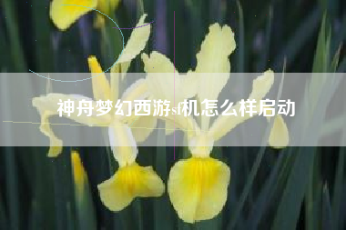 神舟梦幻西游sf机怎么样启动