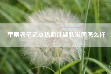 苹果老笔记本热血江湖私发网怎么样